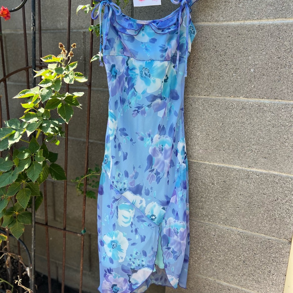 A Vintage Floral Blue Fairy Dress
